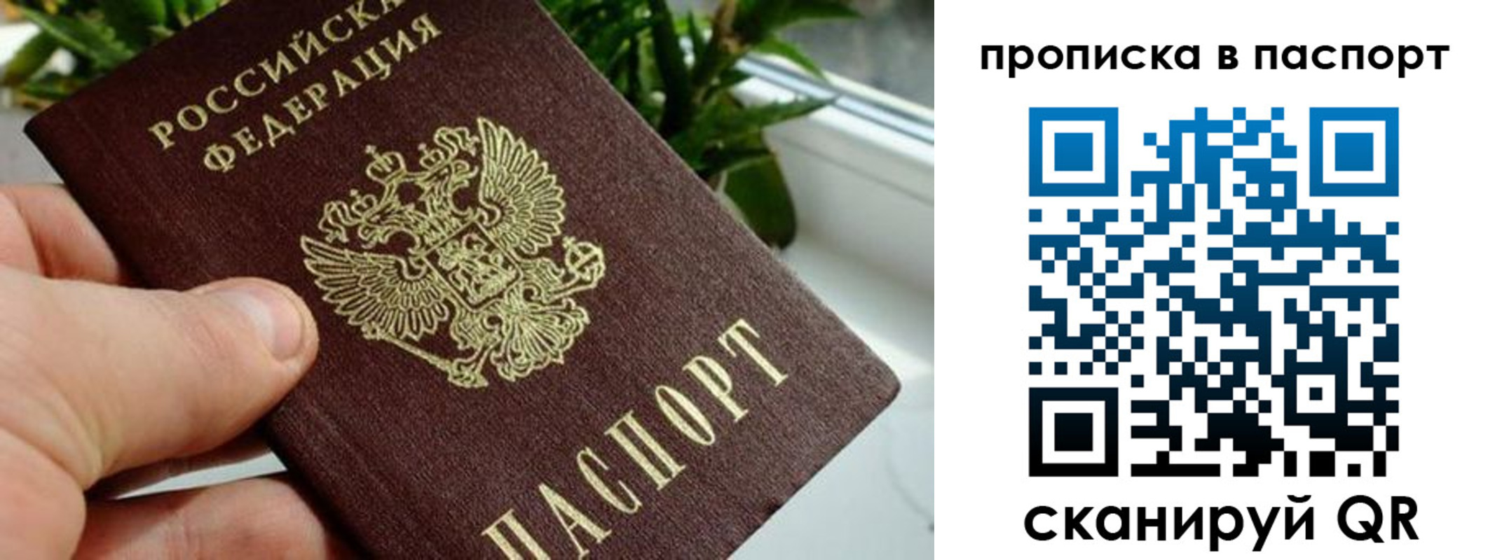 пропишу в квартире в Светлограде